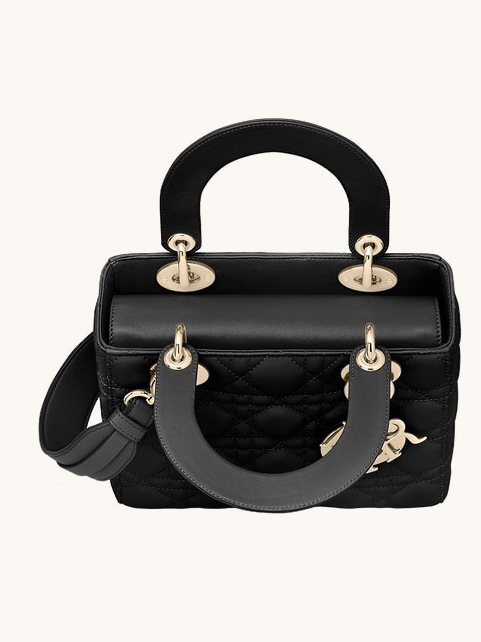Сумка Christian Dior